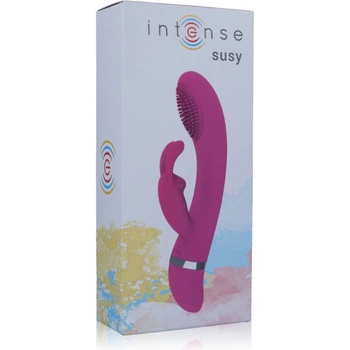 INTENSE FUN SUSY