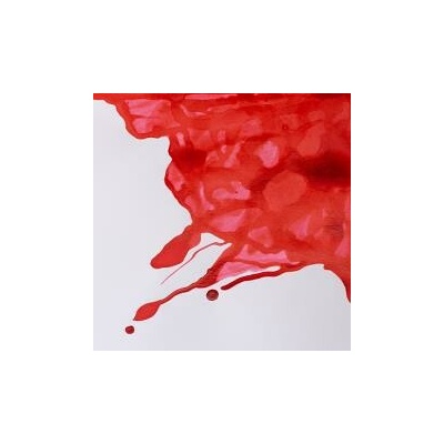 Winsor & Newton drawing INK Scarlet