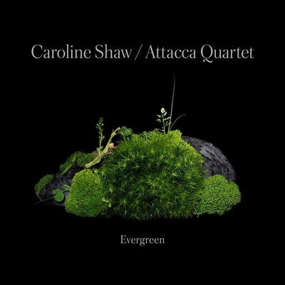 SHAW, CAROLINE & ATTACCA - EVERGREEN CD
