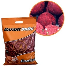 Garantbaits Kŕmne Boilies ECO Line MAGNETIK FRESH FRUIT 5kg 24mm