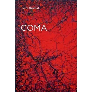 Coma (ISBN: 9781584350897)