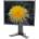 EIZO FlexScan S2100
