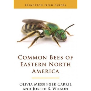 Common Bees of Eastern North America | Joseph S. Wilson, Olivia Messinge Carril (ISBN: 9780691175492)