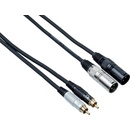Bespeco EAY2X2R150