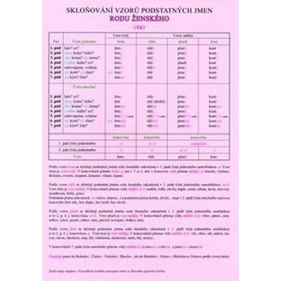 Skloňování vzorů podstatných jmen rodu ženského