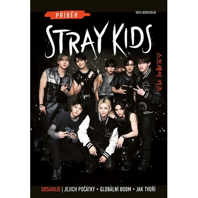 Příběh Stray Kids