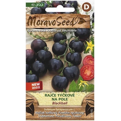 Paradajka tyčková BLACKBALL na pole