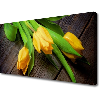 Obraz na plátne Tulipány kvety 100x50 cm