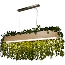 Searchlight 7231