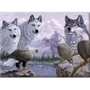 Malování podle čísel Vlci a orli