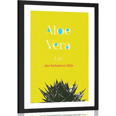 Plakát s paspartou zázračná Aloe Vera - 20x30 black