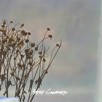Brief Candles - Unfinished Nature LP