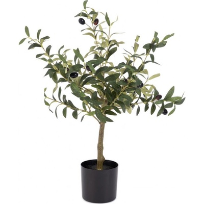 Bizzotto Маслиново растение с ваза, височина 65 см (0173146)