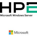 Microsoft Microsoft Windows Server 2025 10 Users CAL WW LTU (P77114-B21)