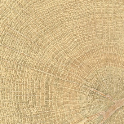 Emil 00ENJD68 0,68m²