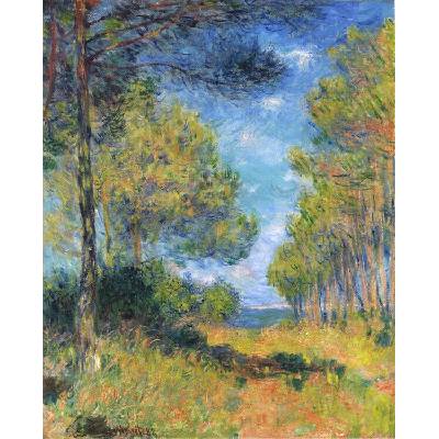Plagát, Obraz - Allée de sapins à Varengeville, Claude Monet, 30 × 40 cm