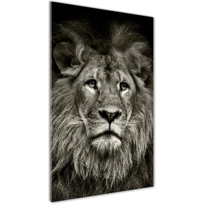 Vertikálny foto obraz sklenený Lev 50x100 cm