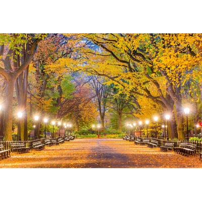 DIMEX ART Флизелинов фототапет централен парк през есента 375 x 250 см