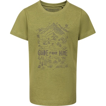 Alpine Pro Детска тениска от неизмачкващ се материал ALPINE PRO NOGERO green oasis вариант pa ALPINE PRO | Zelen | Момчешки | 104/110