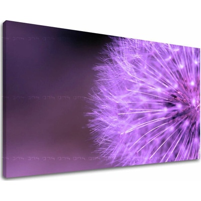 Obraz na stenu KVETY - 80x120 cm