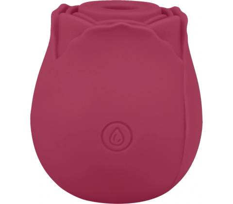 EIS Blush&Bloom