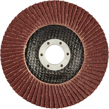 Graphite Kotouč lamelový 125 x 22,2 mm K100 55H990