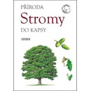 Stromy