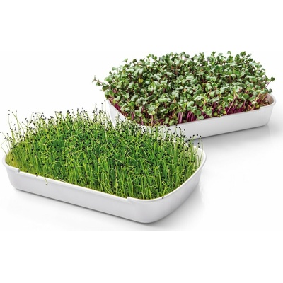 Tescoma Súprava na pestovanie microgreens SENSE