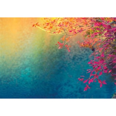 IMPOL TRADE 12647 V8 Vliesové fototapety farebné listie slnko nebo rozmer 254 cm x 368 cm
