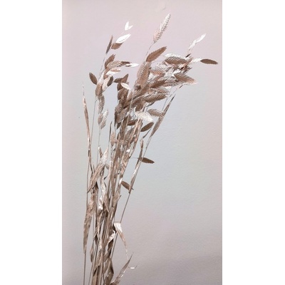 Sušený plochoklásek (Chasmanthium) svazek rose gold