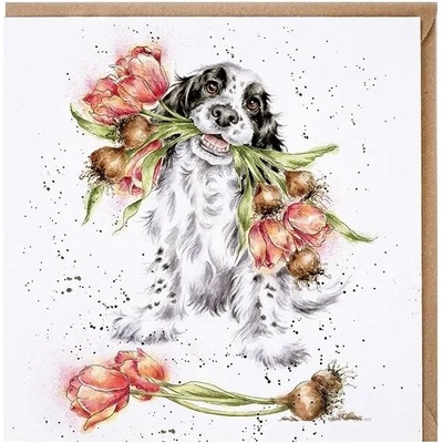 Přání Wrendale Designs "Blooming with Love", 15x15 cm - Pes, kokršpaněl