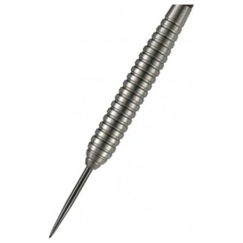 Target Steel Power Silverlight Phil Taylor 24 g