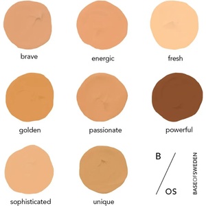 Base of Sweden Waterproof Full Coverage Foundation SPF30 Фон дьо тен за жени 30 ml нюанс Powerful