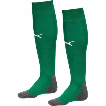 Puma LIGA CORE