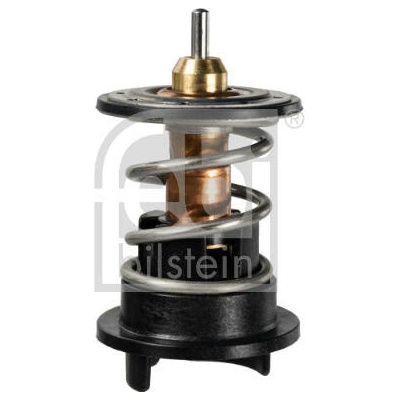 Termostat, chladivo FEBI BILSTEIN 171912