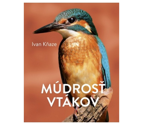 Múdrosť vtákov
