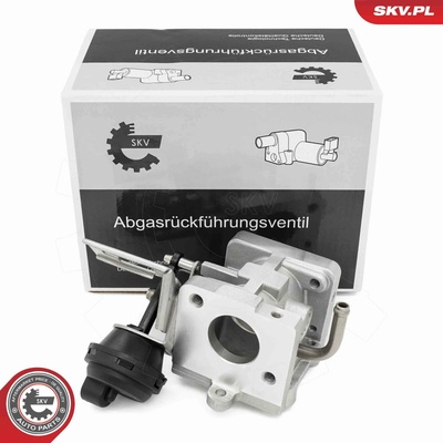 AGR-Ventil ESEN SKV 14SKV290