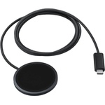 Samsung EP-P2900TBEGWW