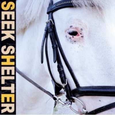 ICEAGE - Seek Shelter CD