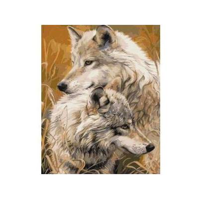 Smart Flamingo Creative set Flamingo Line Painting by numbers 40x50cm Wolves (Fys107)