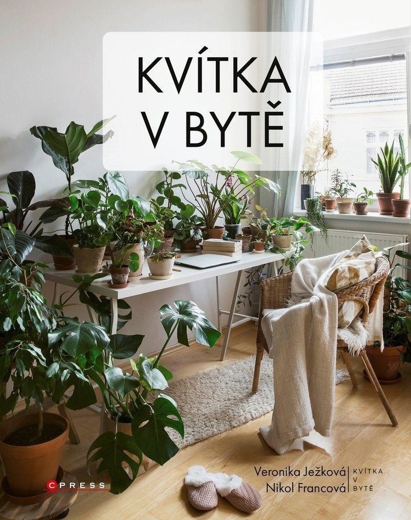 Kvítka v bytě