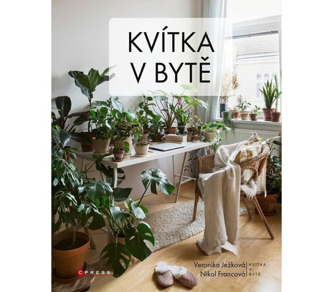 Kvítka v bytě