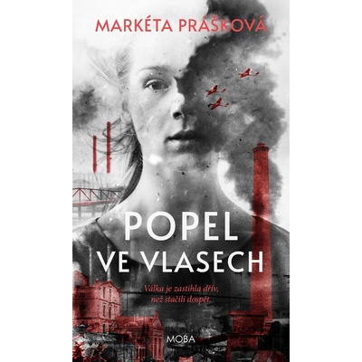 Popel ve vlasech