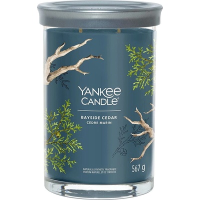 Yankee Candle Signature tumbler Bayside Cedar 567 g
