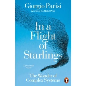 In a Flight of Starlings | Giorgio Parisi (2024)