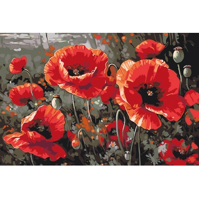 MALUJEŠ Malování podle čísel KVĚTY ČERVENÝCH VLČÍCH MÁKŮ II Rozměr 60 x 80 cm Rámování vypnuté plátno na rám