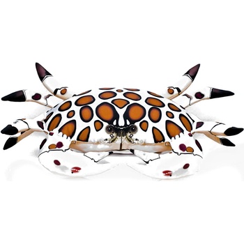 Gaby vankúš Krab kaliko 60cm