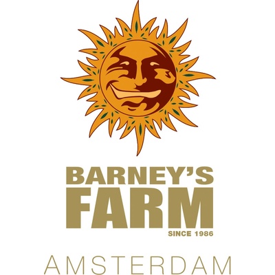 Barney’s Farm G13 HAZE REGULAR™ semena neobsahují THC 10Ks – Zboží Dáma