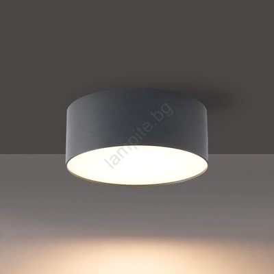 Brilagi - LED таванно осветително тяло за баня FORIS LED/9W/230V Ø 9 см антрацит IP44 (BG3780)