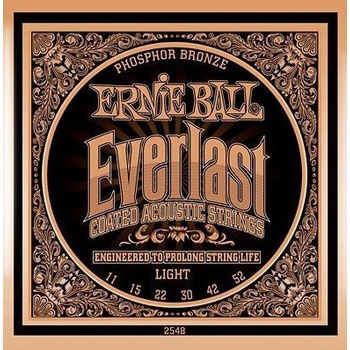 Ernie Ball 2548